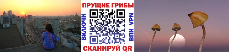 мега как войти  Уржум  Галлюциногенные грибы мухоморы  где продают  